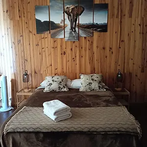  Hostel Tenerife Dreams Coffee&bed